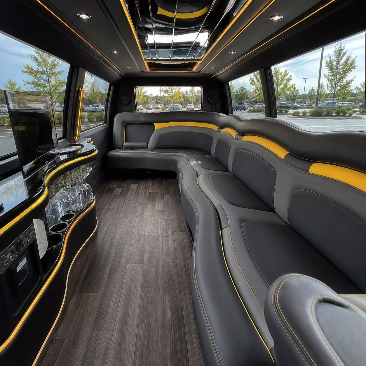 tampa limo interior