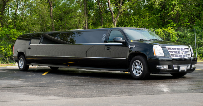 Tampa 20 Passenger Limo